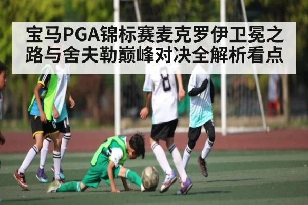 宝马PGA锦标赛麦克罗伊卫冕之路与舍夫勒巅峰对决全解析看点