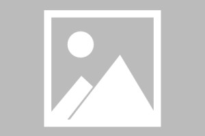 OB电竞登录入口-不破不立！勇士该交易巴特勒&amp;波杰还是用追梦&amp;波神换字母哥或小卡